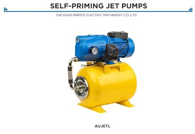 O CE certificou o peso leve automático da bomba centrífuga AUJET100L - 220/50Hz 21kg para a exportação global