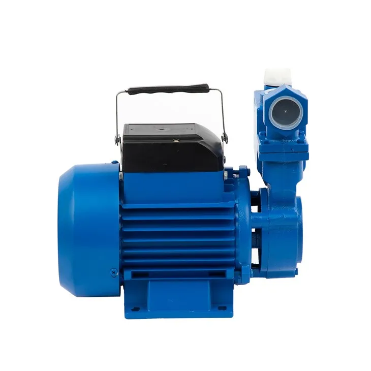 Self Priming Peripheral Pump IZDB Self Priming Peripheral Pump IZDB